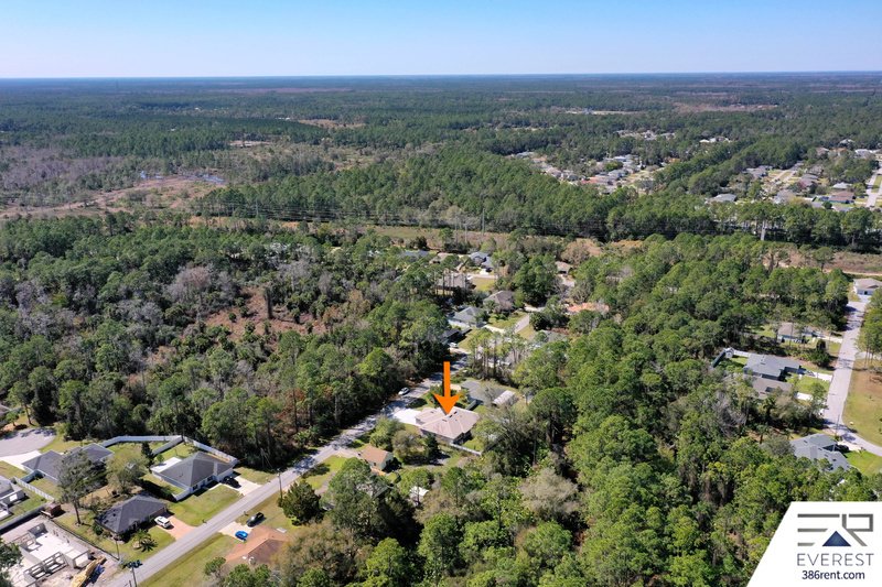 FULLY FENCED, LIKE NEW 3/2/1 TOWNHOUSE IN BEAUTIFUL SEMINOLE WOODS property image