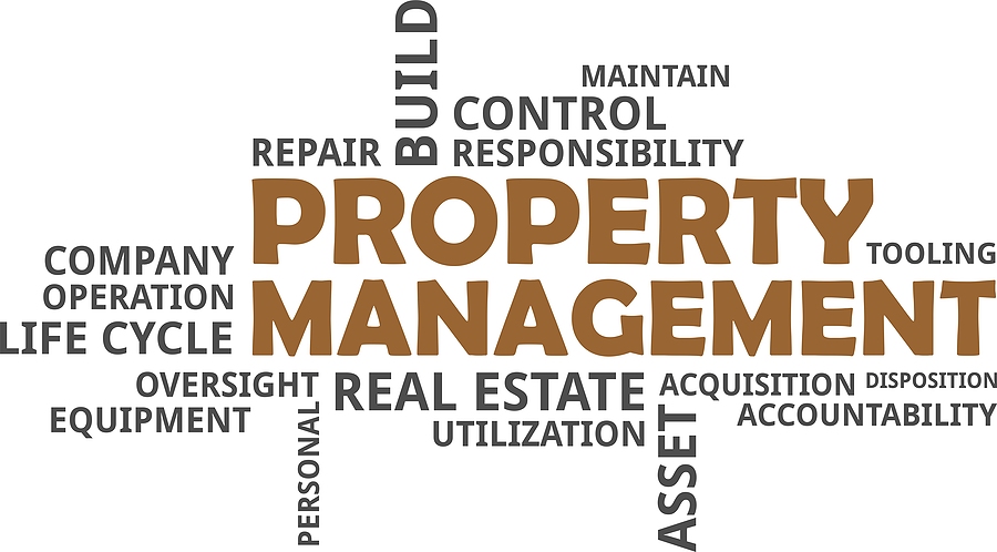 Navigating the Minefield: Spotting Red Flags in Property Management Firms